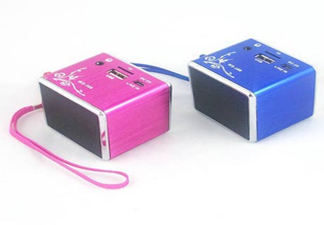 
WSTER®aƷXϽWS-368忨//USB/TF